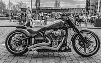 Harley-Davidson van Freddie de Roeck thumbnail