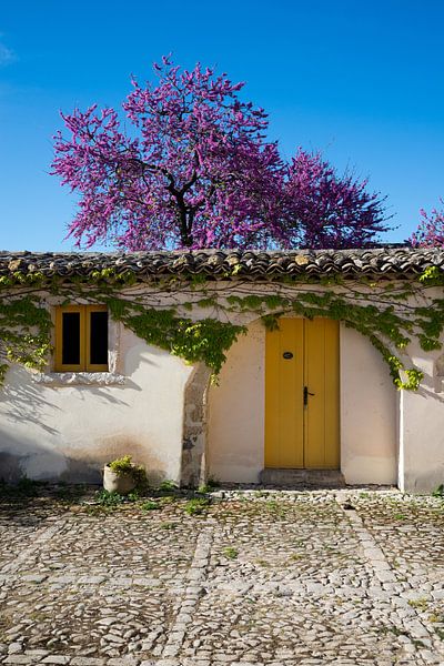 Oud huis met bloesemboom op Sicilië van Pieter Tel