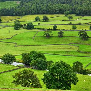 Im Wharfedale