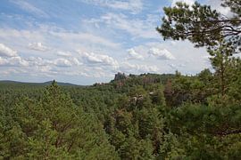 Blick auf die Burgruine Regenstein bei Blankenburg (Sachsen-Anhalt) von t.ART