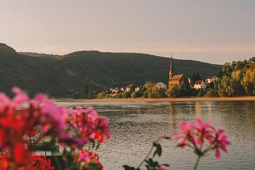 Gouden uurtje over typisch Duits dorpje aan de Rijn.
