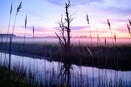 Dierhagen by Markus Lambrecht