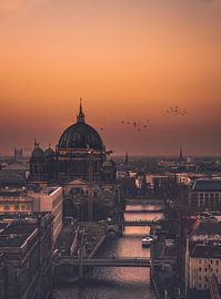 Bye Bye Blackbird von Iman Azizi