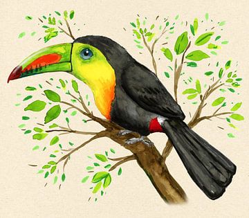 A watercolour drawing of a keel-billed toucan by Bianca Wisseloo