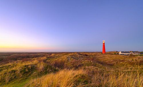 Schiermonnikoog vue panoramique dans les dunes avec le phare 