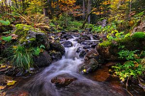 Märchenhafter Wasserfall