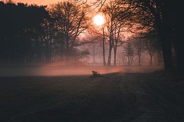 Zonsopgang in Nijreesbos, Almelo met warme zonnestralen en mist van Bas Greevink