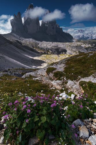 Drie kantelen met bloemen
