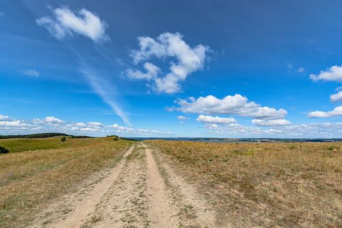 Groß Zicker, Blick in die Hagensche Wiek, Gager, Reddevitzer Höft