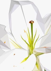 Witte Bloem Abstract Laagpolig van Yoga Art 15