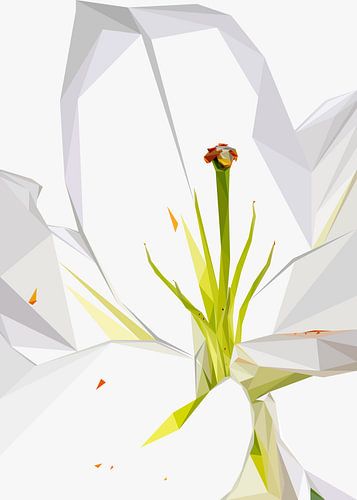 White Flower Abstract Low Poly