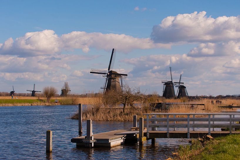 Windmill Landscape Kinderdijk par Brian Morgan