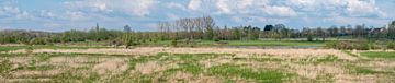 Uitgestrekt panorama over heide