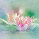 Water Lily by Andreas Wemmje thumbnail