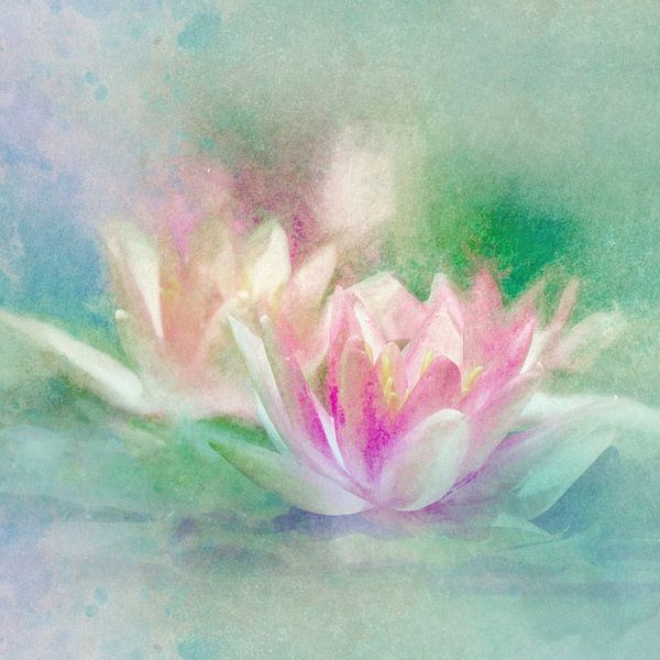 Water Lily by Andreas Wemmje