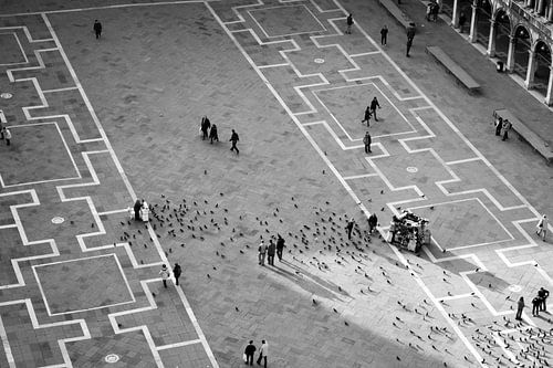 chessboard