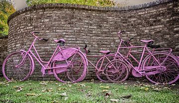 Roze fietsen van Giel Ketting