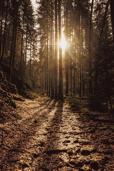 Zonsondergang in de Monbach vallei van GoodMoodPhotos