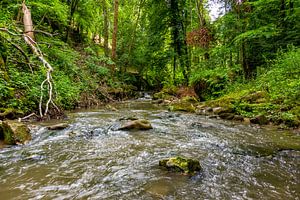 Mullerthal Trail IX