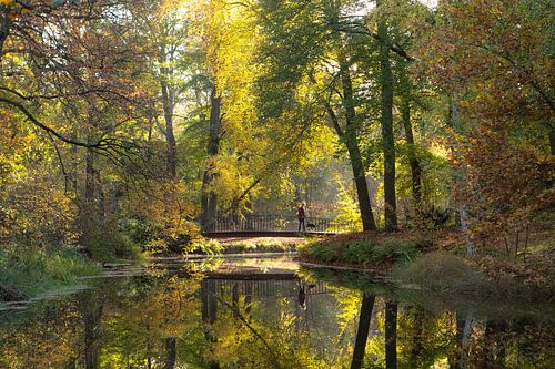 Bruggetje in het Molenbosch Zeist, herfst kleuren