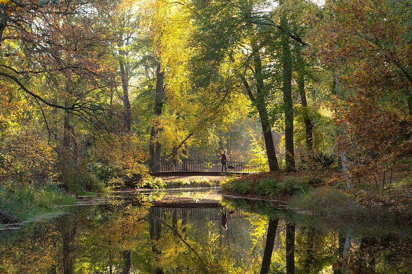 Little bridge in the Molenbosch Zeist, autumn colours by Peter Haastrecht, van
