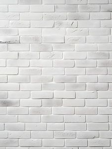 Mur de briques blanches à la structure fine