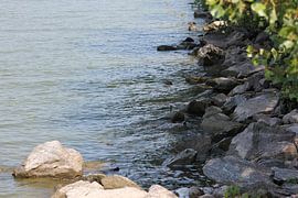 Staudamm Kerkini See Griechenland