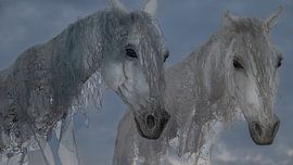 Windpferd 4 von Joes van Asten