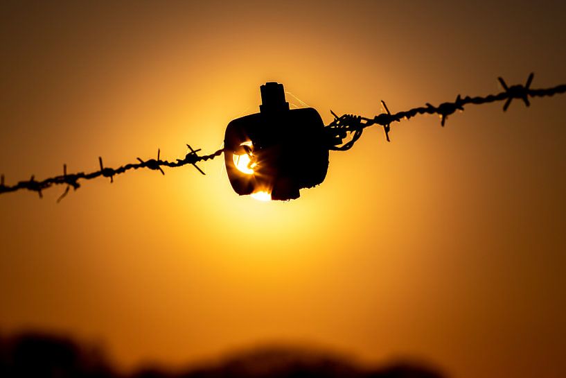 Barb wire, Schrikkeldraad, zonsondergang. van Frank Slaghuis