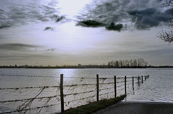 Hoog water    High water