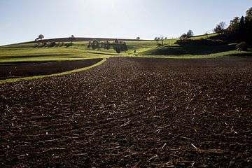 Glooiend landschap