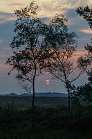 Zonsondergang op de veluwe