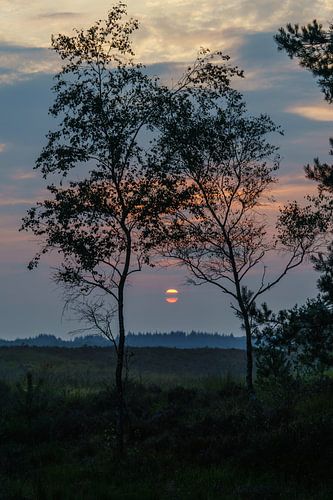 Zonsondergang op de veluwe