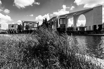 Bondskanselarij Berlijn met graspollen aan de rivier de Spree