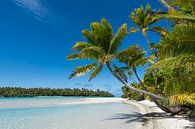 Paradies, Aitutaki von Laura Vink Miniaturansicht