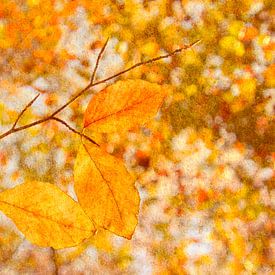 Herbstfarben 1 – malerisch von Jaap Tanis