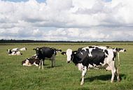 Koeien en wolkenluchten van Carola van Rooy thumbnail