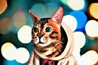 Hoody kat goes bokeh van Maud De Vries thumbnail
