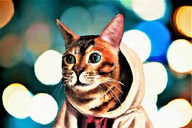 Hoody cat goes bokeh