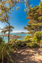 Jardin Exotique on the Ile de Batz, Brittany by Christian Müringer