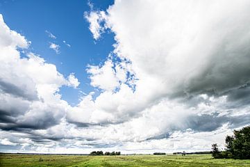 Dreigende Wolken Boven de Weide van Brian Morgan