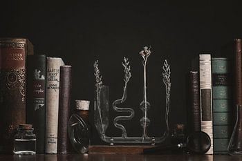 Alchemy Vintage Library Still Life