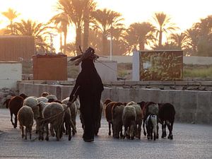 Schaapherder Egypte met takken op het hoofd van Diana Kors