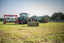 Pressen und Verpacken von Packungen