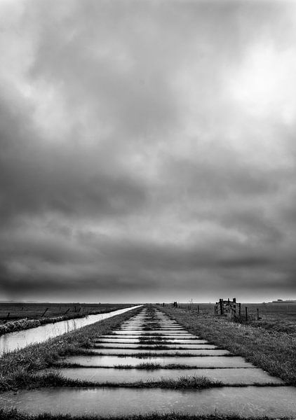 Landstraße im Polder von Pascal Raymond Dorland