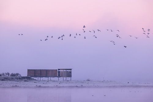 die Vogelperspektive von Gerlanda