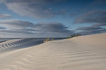 Le relief du sable donne un rythme à la dune sur Paul Veen