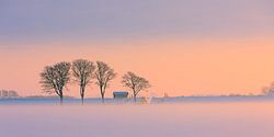 Winter in de provincie Groningen