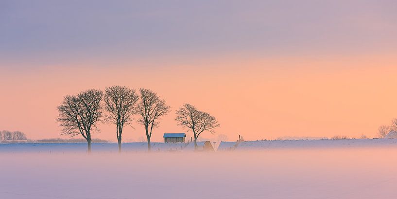 Winter in der Provinz Groningen von Henk Meijer Photography