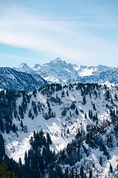 Winteruitzicht op de Hochvogel en de Allgäuer Alpen van Leo Schindzielorz